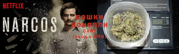 шишки Володарск
