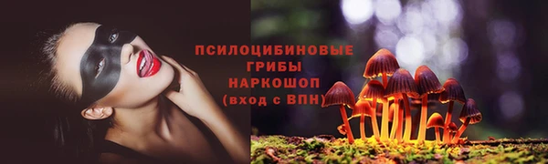шишки Володарск