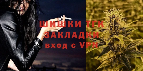 шишки Володарск
