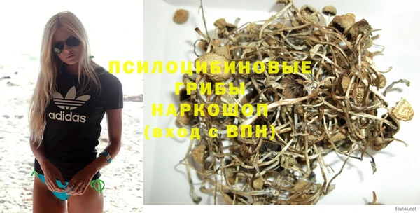 ПСИЛОЦИБИНОВЫЕ ГРИБЫ Волоколамск