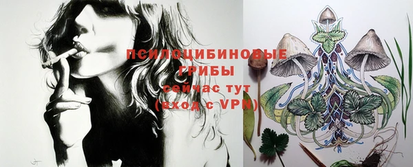 ПСИЛОЦИБИНОВЫЕ ГРИБЫ Волоколамск