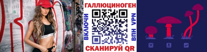 Купить  Казань  Псилоцибиновые грибы MAGIC MUSHROOMS 